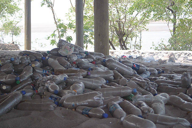 bottles