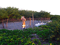 Hatchery at PR