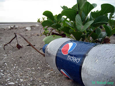 Pepsi Bottle